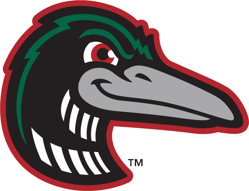 Great Lakes Loons 2016-Pres Alternate Logo v3 iron on heat transfer